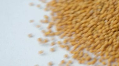 Beyaz arka planda kuru hardal taneleri, yavaş çekim