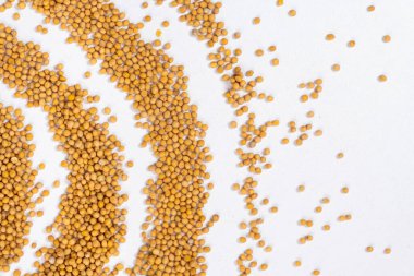 Beyaz Arkaplan Görünümünde Dağıtılmış Sarı Hardal Taneleri.