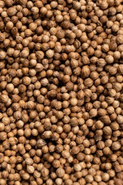 Kişniş taneleri makro üst görünüm