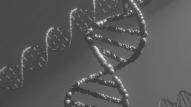 DNA modeli çift sarmal deoksiribonükleik asit 3d animasyon 4k.