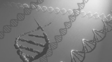 DNA modeli çift sarmal deoksiribonükleik asit 3d animasyon 4k.