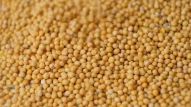 Hardal tohumları yavaş çekimde yığılıyor..