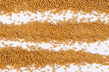 Beyaz Arkaplan Görünümünde Dağıtılmış Sarı Hardal Taneleri.