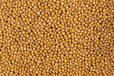 Sarı Kuru Hardal Tohumu Arkaplanı, Doğal Organik Baharat, Üst Görünüm