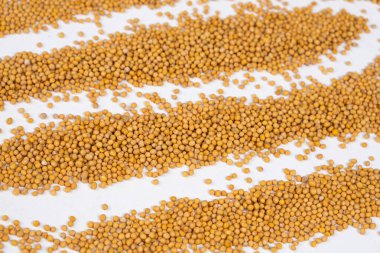 Beyaz Arkaplan Görünümünde Dağıtılmış Sarı Hardal Taneleri.