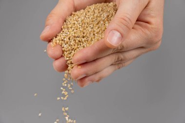 Eller çiğ buğday homurdanır..