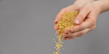 Eller, metin için gri arkaplan fotokopi alanına çiğ bulgur gevrekleri döküyor.