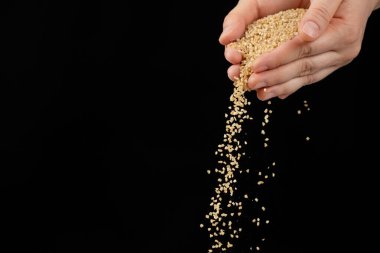 Eller pişmemiş buğday homurdanmalarını metin için siyah arkaplan kopyalama alanına döker.