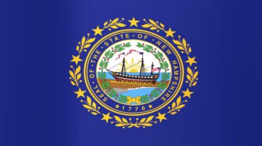 New Hampshire Eyaleti bayrağı, Birleşik Devletler. Kusursuz döngü canlandırması.