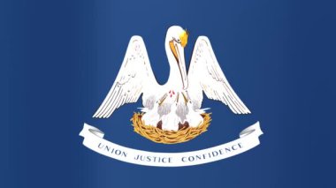 Louisiana Eyaleti bayrağı, Birleşik Devletler. Kusursuz döngü canlandırması.