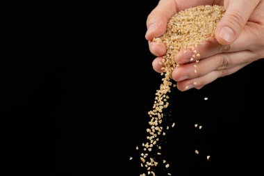 Eller pişmemiş buğday homurdanmalarını metin için siyah arkaplan kopyalama alanına döker.