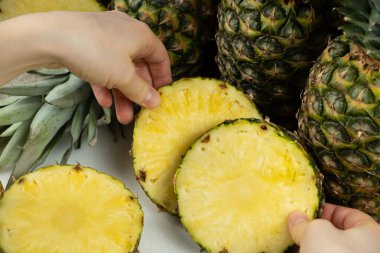 Fresh pineapple fruit cut into rings in hands. clipart