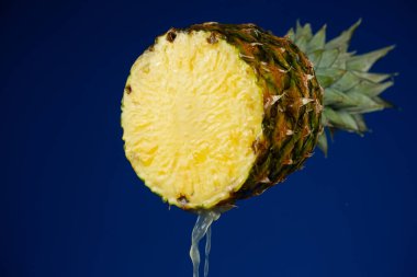 Pineapple juice running down the cut of fresh pineapple fruit on a blue background. clipart