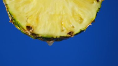 Yarı taze ananas meyvesinden damlayan ananas suyu, yavaş çekim.