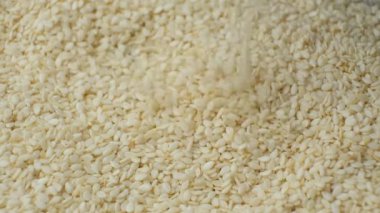Beyaz Susam Tohumları Yavaş Hareket Yakın Çekim.