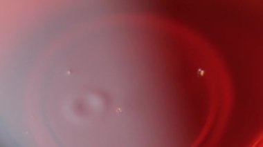 Rafine edilmemiş Soğuk Baskılı Kabak Tohumu Yağlı Damlayan Yavaş Hareket Makro Görüntüsü