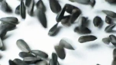 Macro Siyah Kabuksuz Ayçiçeği Tohumları Yavaş Hareket Ediyor.