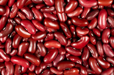 Taze ve Kuru Kırmızı Böbrek Kuru Fasulye Üst Manzara İçin.