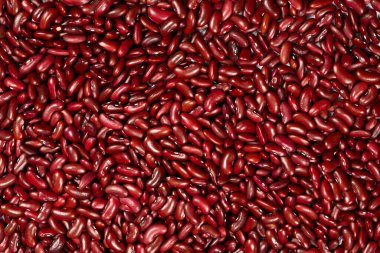 Taze ve Kuru Kırmızı Böbrek Kuru Fasulye Üst Manzara İçin.