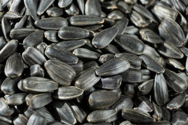 Lezzetli kavrulmuş ayçiçeği Makro tohumları.
