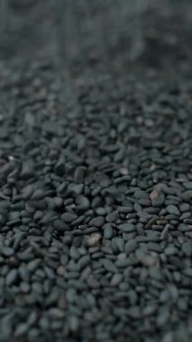 Çiğ siyah susam tohumları makro dökülür, dikey yavaş çekim.