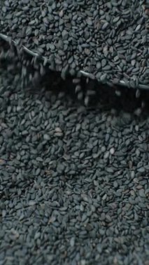 Çiğ siyah susam tohumları makro dökülür, dikey yavaş çekim.