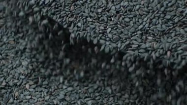 Çiğ siyah susam tohumları makro, yavaş çekim dökülür..