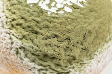 Yeşil küflü yaşlı Lemon. Çürük Gıda Makrosu.