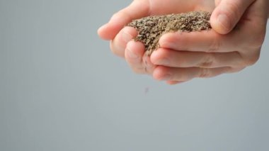 Elleri doğal baharat döküyor Kimyon tohumları, metin için kopyalama alanı.