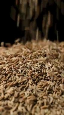 Kurutulmuş Kimyon Yakın Çekim Mutfak Malzemesi Yavaş Hareketi Dikey.