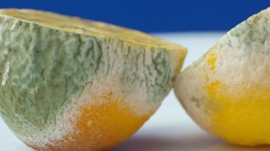 Yeşil ve Beyaz Benekli Çürük Limon.
