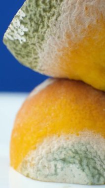 Limonlu küf, çürümüş meyve, limonlu meyveli küf.