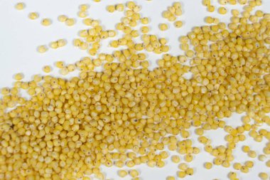 Üst görünüm makrosu üzerinde tüm darı tanecikleri.