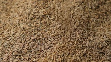 Pişirme ve Baharat Dökme Yavaş Hareketi için Organik Kimyon Tohumları.