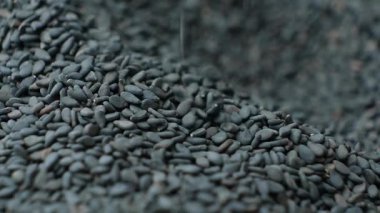 Çiğ siyah susam tohumları makro, yavaş çekim dökülür..