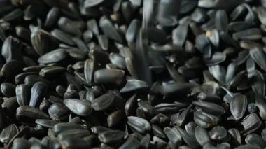 Macro Siyah Kabuksuz Ayçiçeği Tohumları Yavaş Hareket Ediyor.