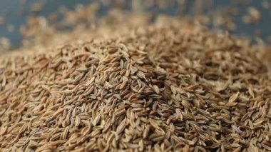 Kurutulmuş Kimyon Yakın Çekim Mutfak Malzemesi Yavaş Çekim.