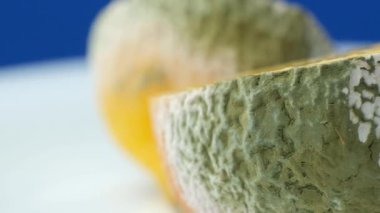 Bulanık Küf Şekliyle Lemon 'u Çürütüyor.