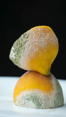 Limonlu küf, çürümüş meyve, limonlu meyveli küf.