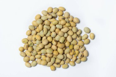 Beyaz arka planda organik çiğ soya fasulyesi yakın plan vegan süper yiyeceği..