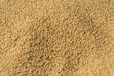 Pişmemiş Amaranth tohumları. Sağlıklı Glütensiz Taneli Makro.