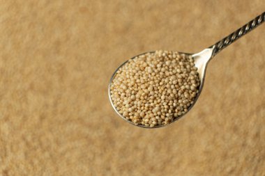 Pişmemiş kehribar tohumları bir kaşıkta, metin için yer.