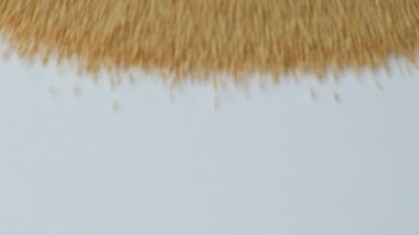 Raw Pişmemiş Amaranth Yavaş Hareketi Dağıtma