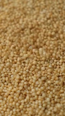 Pişmemiş Amaranth Tohumları Yavaş Hareket Dikey