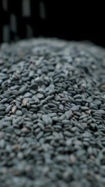 Çiğ siyah susam tohumları makro dökülür, dikey yavaş çekim.