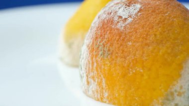 Limonlu küf, çürümüş meyve, limonlu meyveli küf.