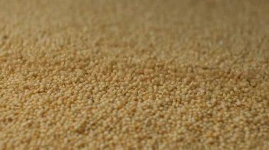 Pişmemiş Amaranth tohumları ağır çekimde akıyor. Sağlıklı Glütensiz Taneli Makro.