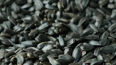 Macro Siyah Kabuksuz Ayçiçeği Tohumları Yavaş Hareket Ediyor.