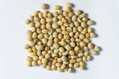 Beyaz arka planda organik çiğ soya fasulyesi yakın plan vegan süper yiyeceği..