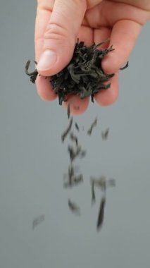 Eller siyah büyük yaprak döküyor Seylan çayı, ağır çekim.